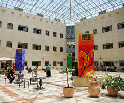 rehabilitation center for children in israel