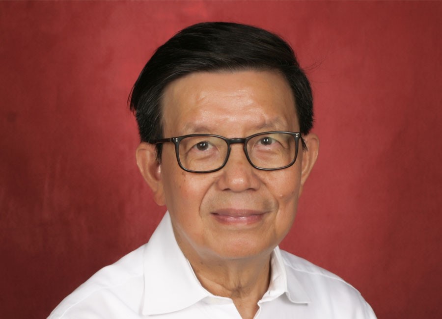 Prof. Dr. med. Duy-Thoai Pham