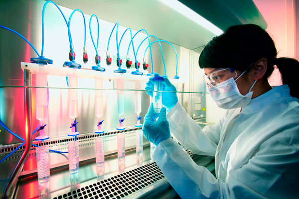 Top-Achievements of modern oncohematology