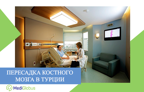 Самые низкие цены на пересадку костного мозга в мире