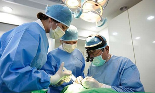 implanting apple tree