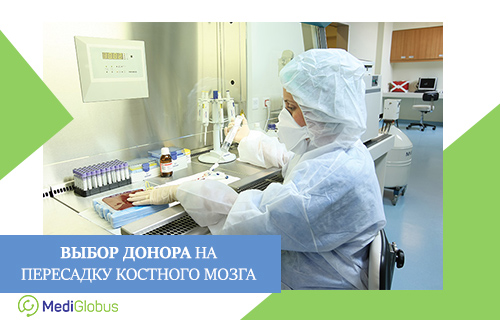 Поиск донора по европейской базе занимает до одного месяца, поиск в местных базах – 1-2 недели.