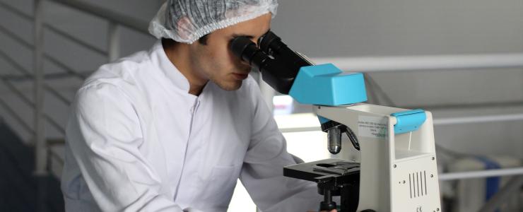 Лечение рака желудка в Германии:исследования