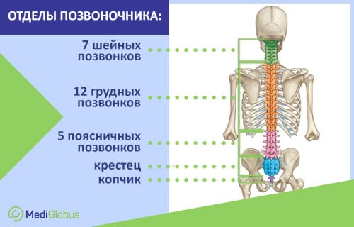 Оперативное и консервативное лечение межпозвоночной грыжи