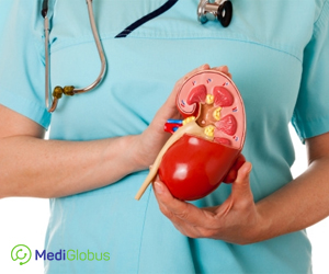 diagnosis and treatment of the kidney in Austria