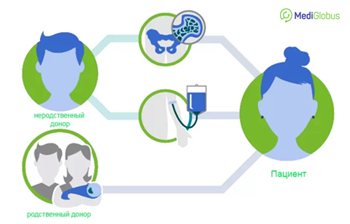 трансплантация костного мозга