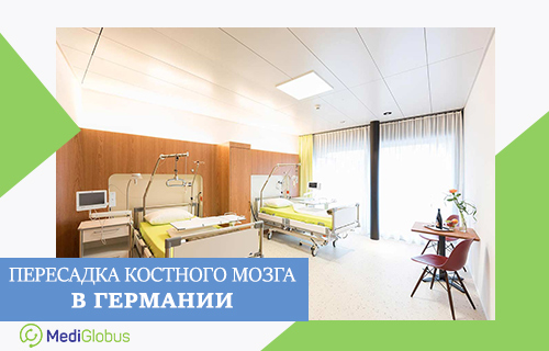 Стоимость аутологической пересадки, пересадки от родственного и неродственного донора в Германии в клинике Людвига-Максимилиана