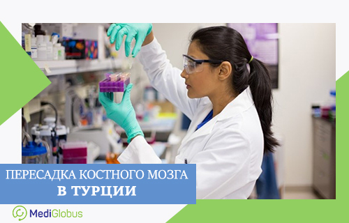 Цена аллогенной и аутологичной пересадки костного мозга в Турции