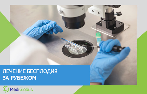 эко за границей клиники методы проведения