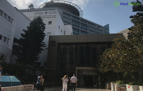 институт современной клеточной терапии Ихилов