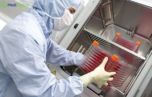 области применения клеточной терапии