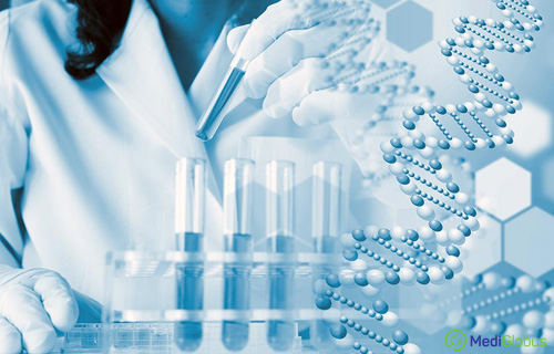 стволовые клетки