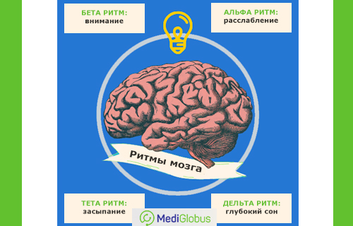 как научиться замечать ритмы мозга