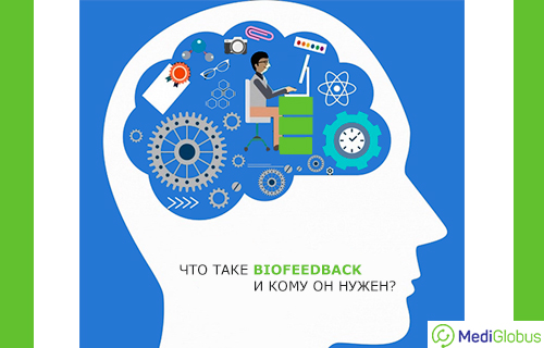 что такое биологическая обратная связь