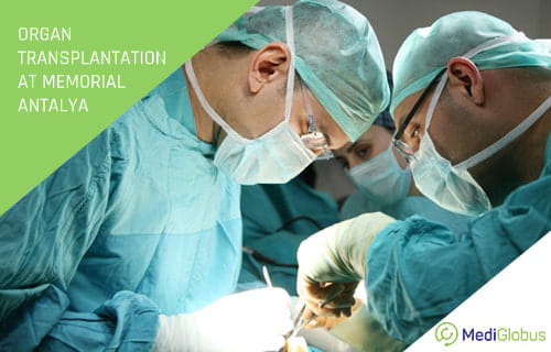 Organ transplantation at Memorial Hospital Antalya