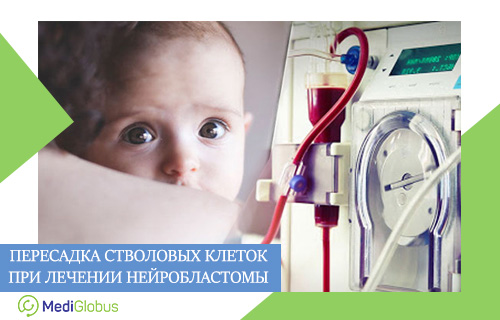 пересадка костного мозга после высокодозной химиотерапии