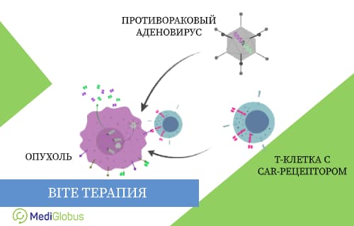 bite терапия лечение б-крупноклетчатой диффузной лимфомы