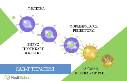 кар-т терапия диффузная б-клеточноая лимфома иммунотерапия рака