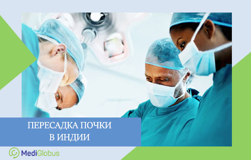 трансплантация почки в клинике Фортис