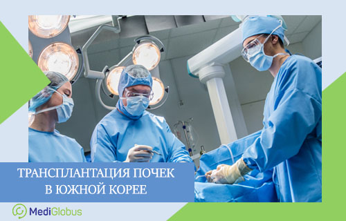 пересадка почки в корее стоимость