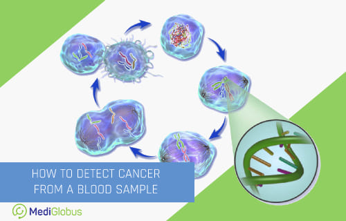cancer dna model